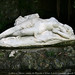 Daniel Perdue Photo 12