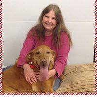 Ann Beall Photo 9
