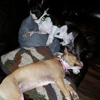 Jennifer Worrell Photo 27