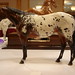 Brenda Metcalf Photo 10