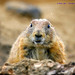 Philip Hagen Photo 24