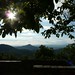 Shelley Hill Photo 43