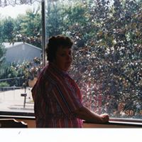 Ann Colvin Photo 7