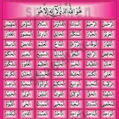 Jabed Chowdhury Photo 7