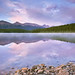 Patricia Large Photo 14