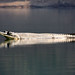Michael Haley Photo 16