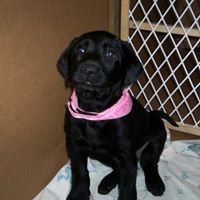 Dixie Overfelt Photo 1