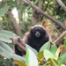 Mary Gibbons Photo 21