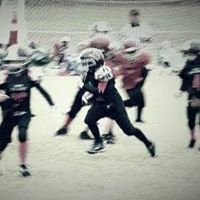 Sherman Hayes Photo 6