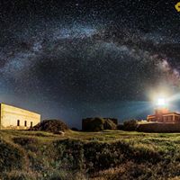 Catherine Vogel Photo 28