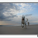 Dawn Berger Photo 14