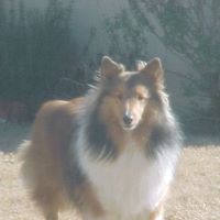 Richard Burleson Photo 8