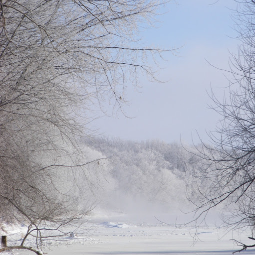 Dan Bergstrom Photo 7