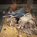 Eugene Parnell Photo 9