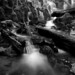 Marc Miles Photo 21