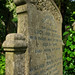 Ann Fletcher Photo 23