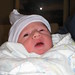 Debra Goldberg Photo 29