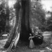 Forest Stanley Photo 4