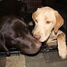 Charlie Jackson Photo 5
