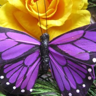 Christine Goode Photo 30