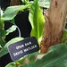 Virginia Matlock Photo 8