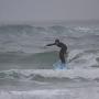 James Caron Photo 24