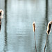 Reed Price Photo 33
