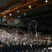 Randall Farley Photo 23