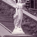 Joseph Deer Photo 15