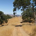 Alan Gates Photo 40