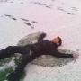 Yue Chen Photo 5