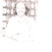 Shari Frederick Photo 5