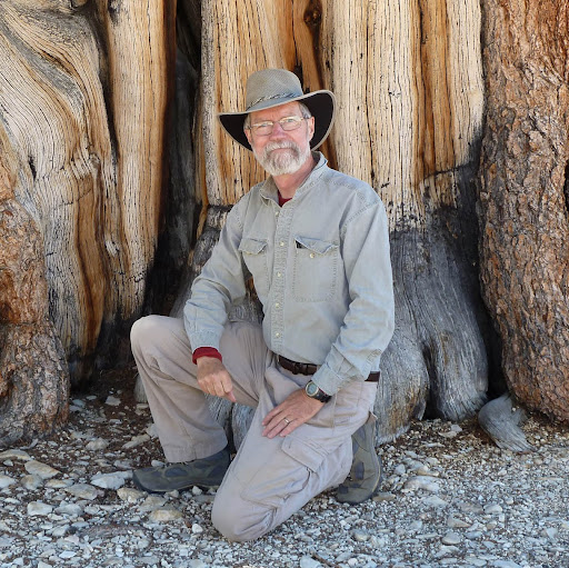 Terry Hayden Photo 33