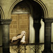 Maria Christiansen Photo 12