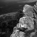 James Tibbets Photo 7
