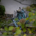Laura Mcneely Photo 29