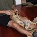 Penny Honeycutt Photo 7
