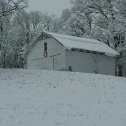 Marcia Tuttle Photo 12