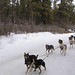 Carol Beck Photo 12