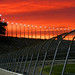George Thacker Photo 19
