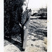 William Furman Photo 26