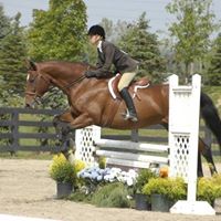 Kristin Andrews Photo 28