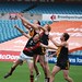 Patrick Darcy Photo 23