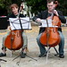 Stephen Browning Photo 32