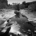Conrad Mills Photo 8