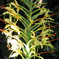 Sally Warner Photo 25