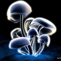 Rashid Chowdhury Photo 9