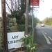 Elizabeth Thrush Photo 5