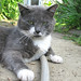 Norman Strayer Photo 10