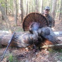 Kevin Creech Photo 3